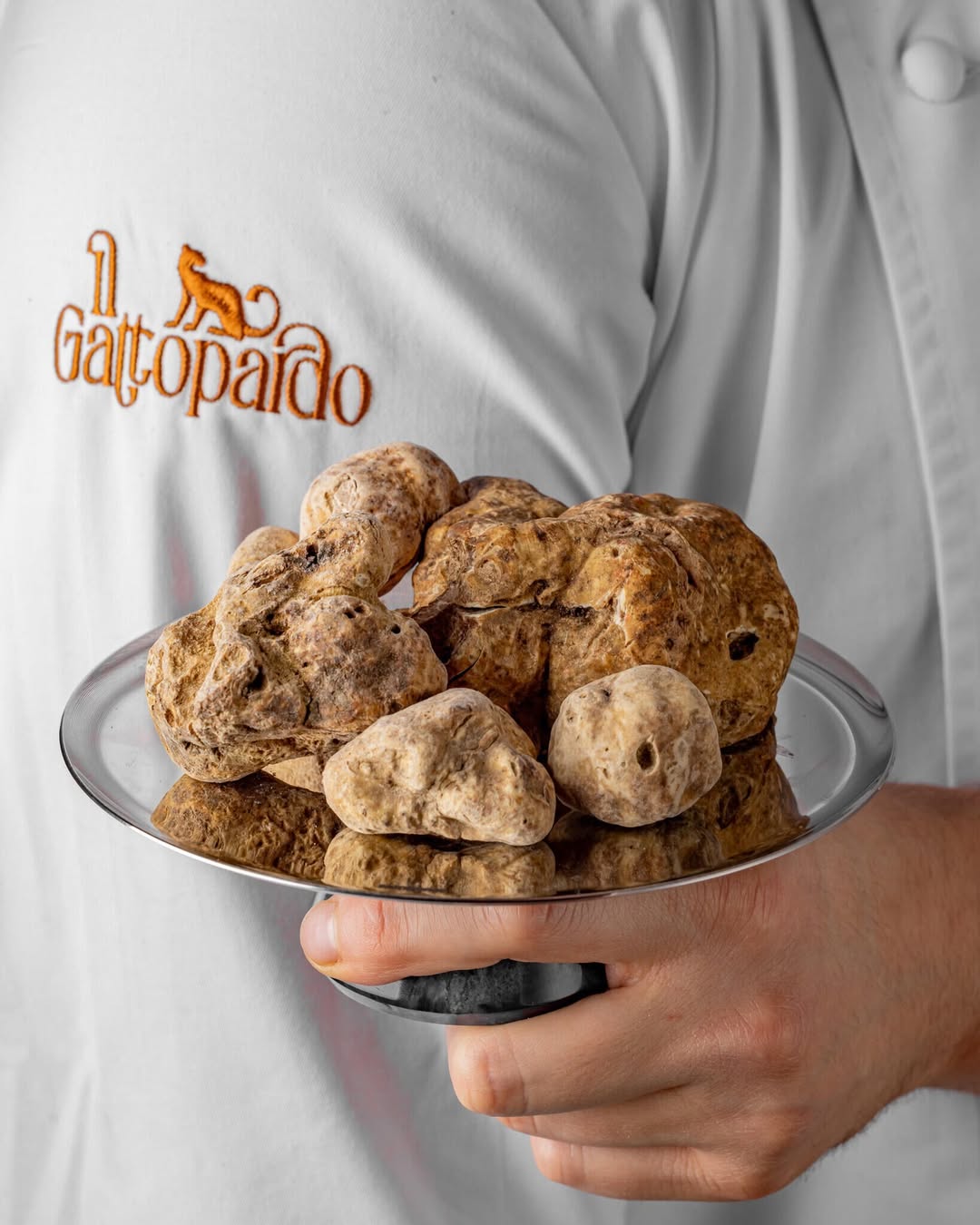 Il Gattopardo branded detail